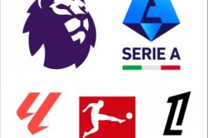 意西德法甲从哪里挖人？西甲本土引援比例最高，法甲开拓海外市场