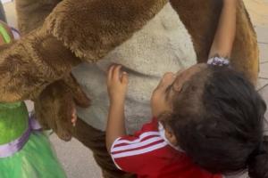 孩子想互动被完全无视！拉菲尼亚妻子怒斥迪士尼🤬：令人厌恶！