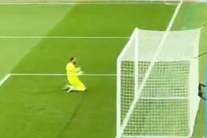 完美首秀！哈兰德破门后，多纳鲁马面向主场球迷激情滑跪庆祝