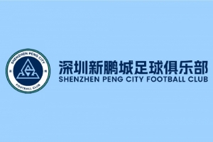关于深圳新鹏城主场比赛调整及票务处理办法的公告